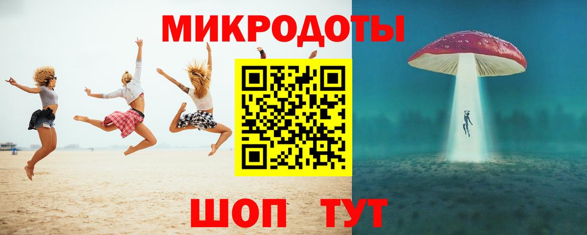 Галлюциногенные грибы Psilocybe Саратов